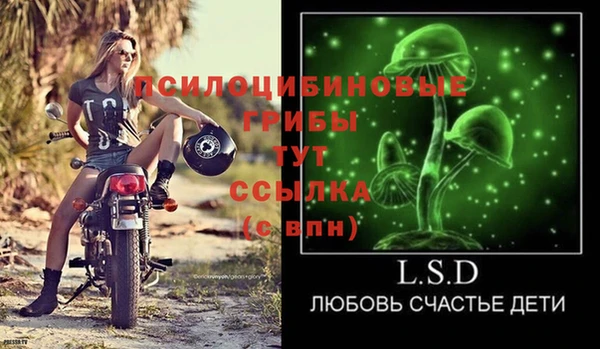 apvp Алексеевка