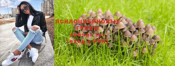 СК Алзамай
