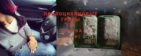 СК Алзамай