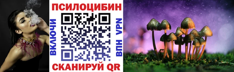 Псилоцибиновые грибы Cubensis  Опочка 